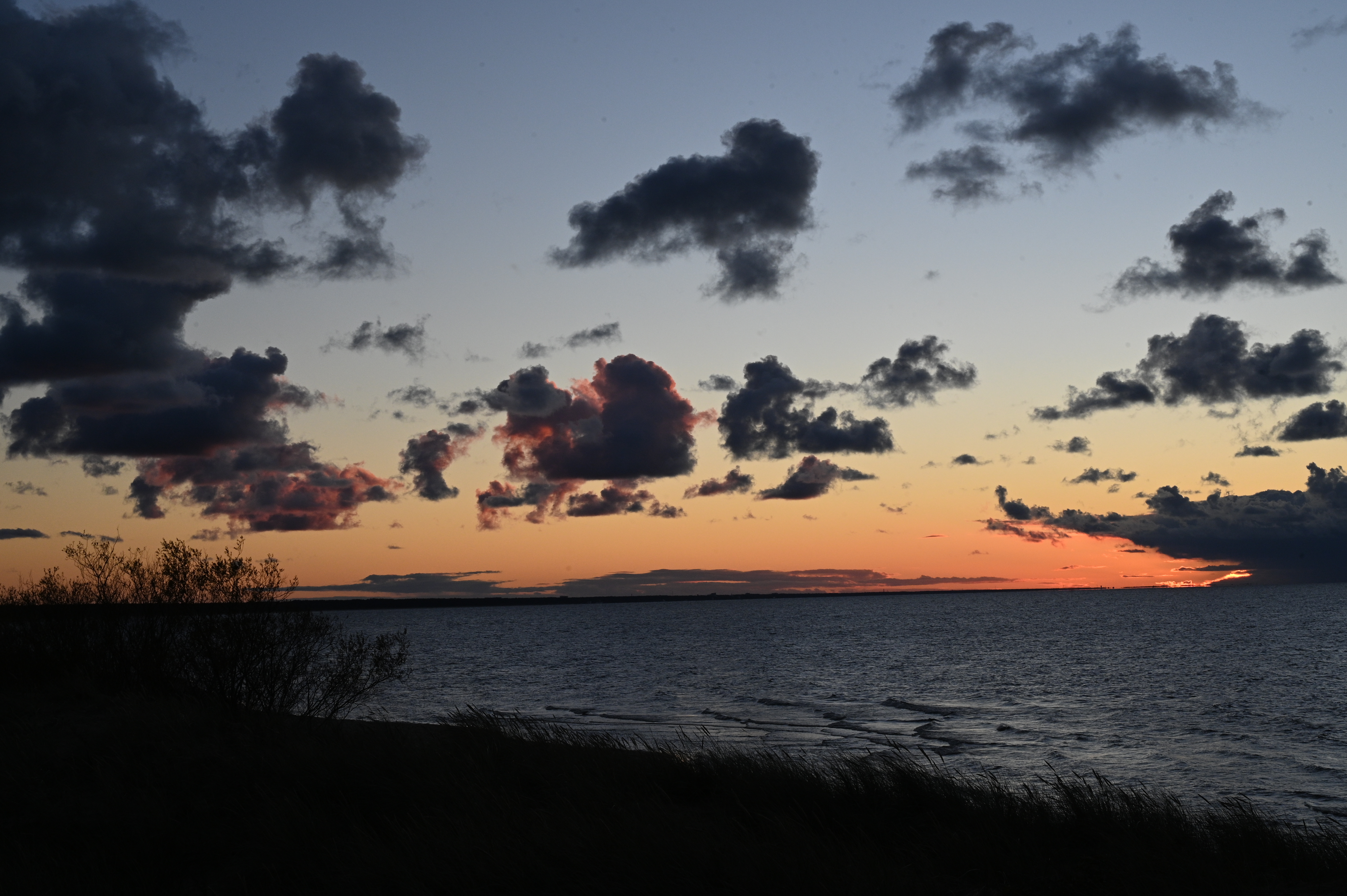 2025/10/18 - walk/DSC_0525.JPG